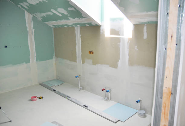 Biohazard Mold Removal in Howard Lake, MN