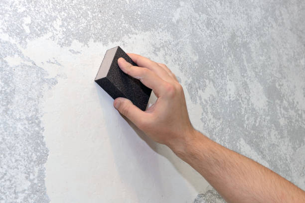 Best Post-Construction Mold Inspection  in Howard Lake, MN