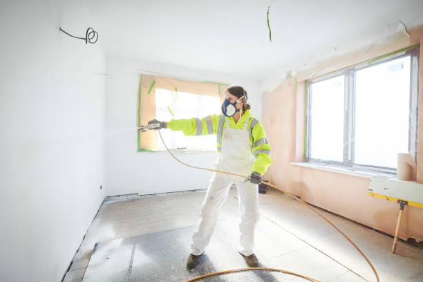 Best Environmental Consulting for Mold Prevention  in Howard Lake, MN