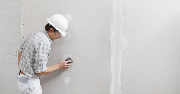 Best Mold Damage Restoration  in Howard Lake, MN