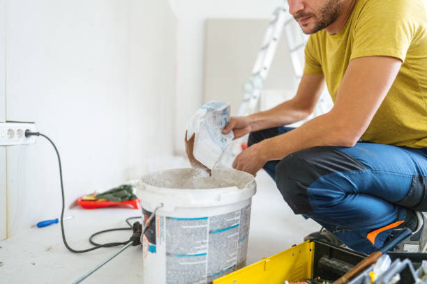 Best Dehumidification Services  in Howard Lake, MN