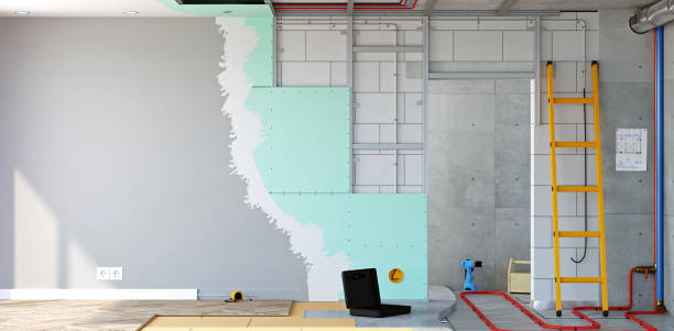 Best Biohazard Mold Removal  in Howard Lake, MN