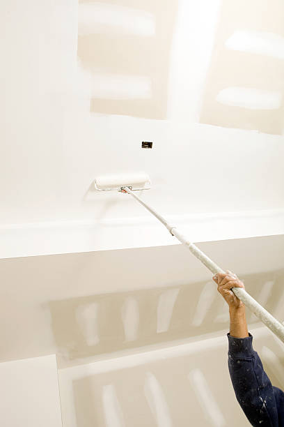 Best Black Mold Removal  in Howard Lake, MN