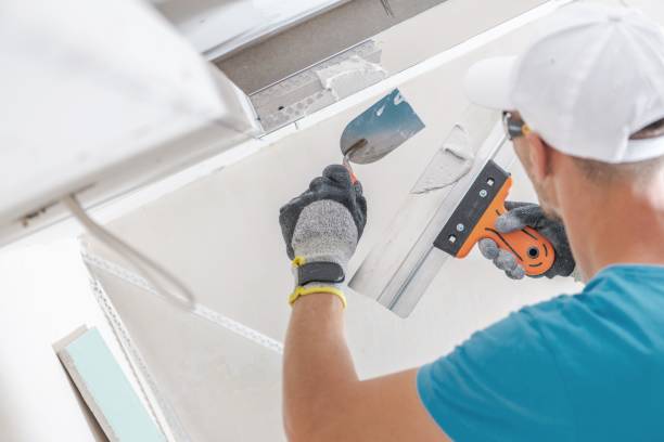 Forensic Mold Investigation in Howard Lake, MN